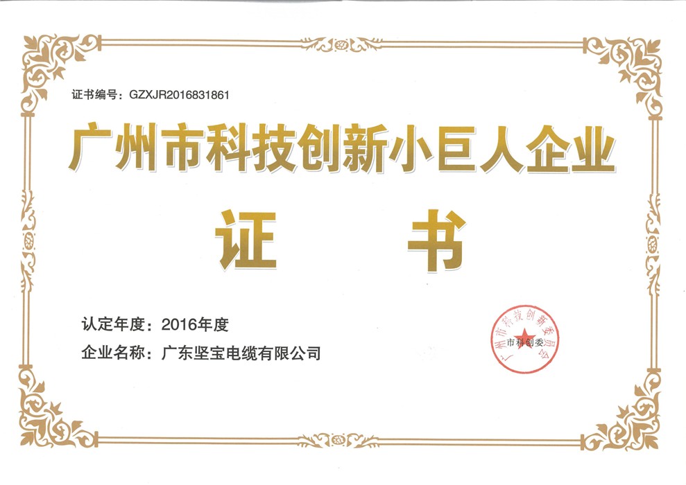 广州市科技创新小巨人企业证书