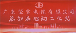 广东91视频网站观看电缆有限公司总部基地落成奠基仪式